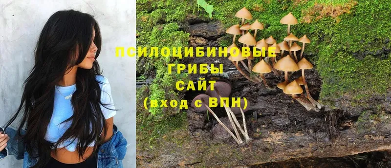 Псилоцибиновые грибы Psilocybe  купить наркотик  Нижняя Салда 